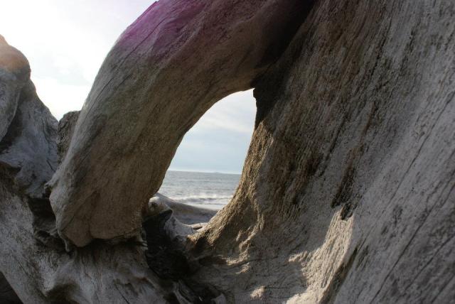 Taken in Olympic National Park; the ocean beyond the hole in fallen log