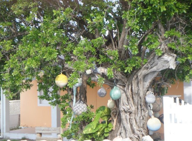 Colorful buoys in Abacos