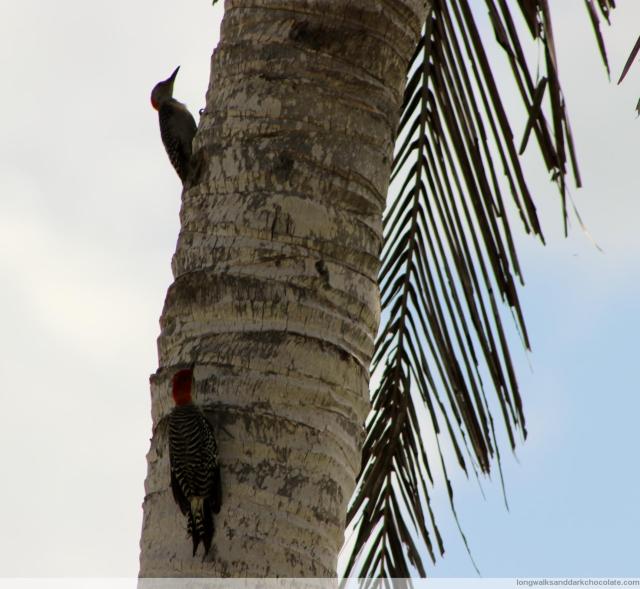 And then there were two