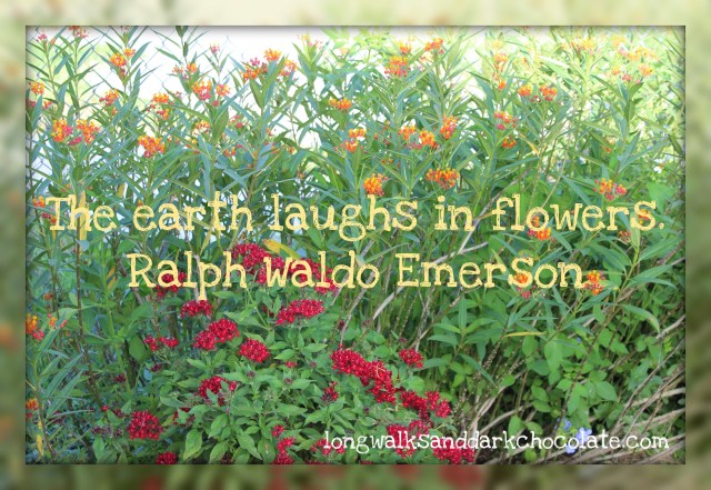 Earth laughs in flowers