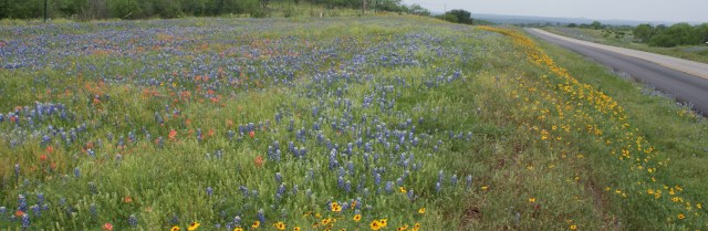 Weekly Photo Challenge:  Infinite