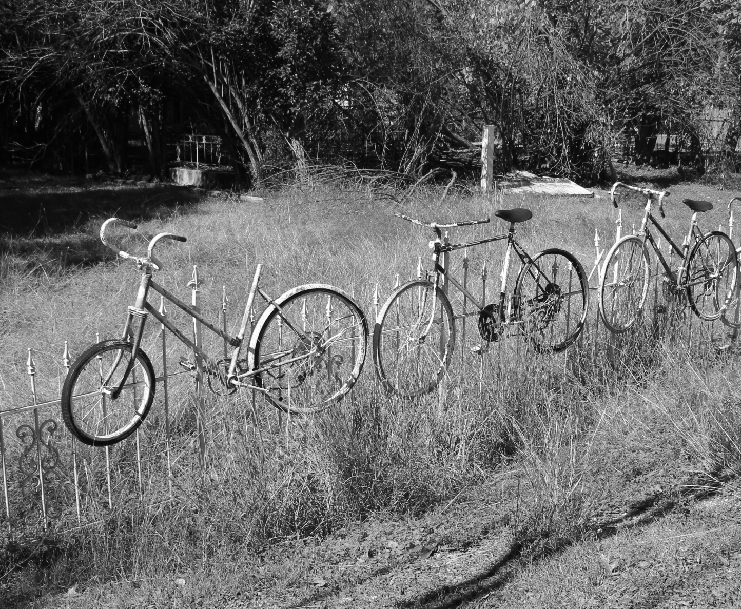 Weekly Photo Challenge: Threes