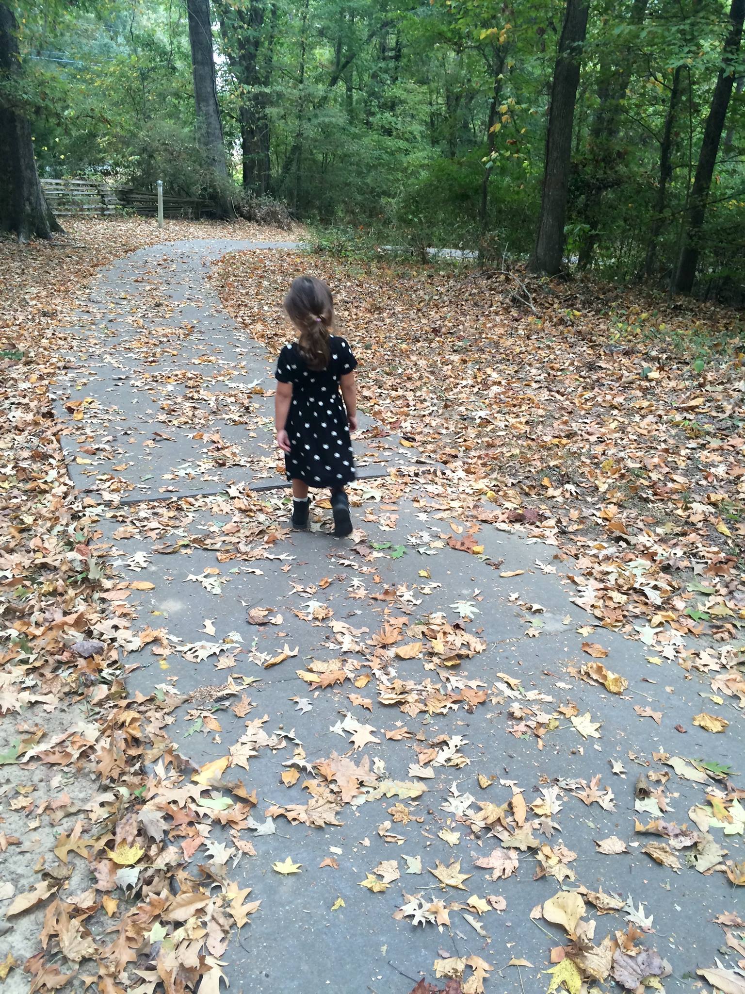 12029681_10153651247701763_6600053614237868420_o