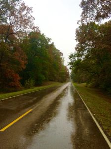 905580_10153653332391763_3349487076635129163_o