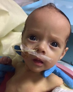 13873095_269681100071404_8467463850780047871_n