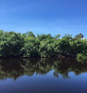 13879413_10154342790281763_865004555562844113_n