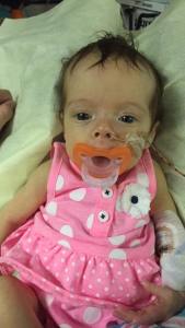 13912343_280314879008026_5289825603233603215_n