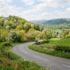 Curved road through green fields and flowering trees with hills in the background